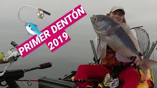 PRIMER DENTON DE LA TEMPORADA 19 🎣 🎣 🎣 [upl. by Javed377]