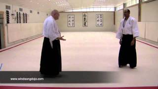 Aikido Principles Five Elements for Delivery of Energy [upl. by Sander336]