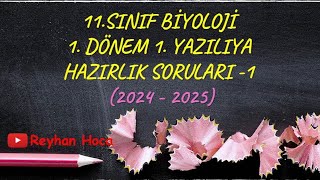 11 SINIF BİYOLOJİ 1DÖNEM 1YAZILI ÖRNEKLERİ 20242025 [upl. by Elisabetta]