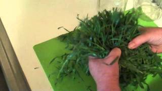 Making Tarragon Vinegar [upl. by Goldwin]