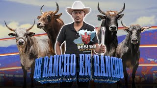 ¡ESTA ES LA VIDA DE UN GANADERO QUE SE DEDICA A LA CRIANZA DE TOROS DE REPARO RANCHO DOBLE R [upl. by Thomajan]