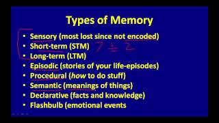 Types of Memory [upl. by Kotz785]