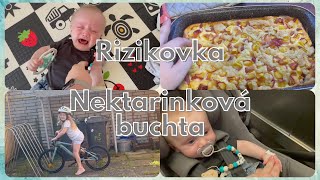 Do rizikové poradny nektarinková buchta  Vlog [upl. by Archaimbaud]