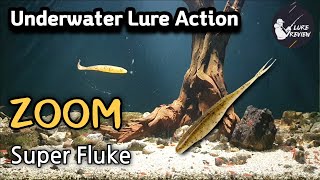 BassFishing Zoom 9 Super Fluke  Underwater Lure Action [upl. by Dorin618]