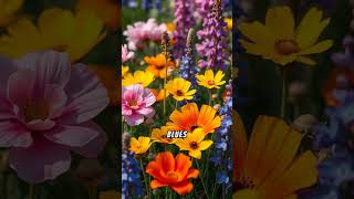 A Colorful Spectacle of Spring Wildflowers californiawildflowers shots [upl. by Niltyak]