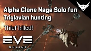 EVE Online  Naga solo Triglav hunting with Thieves [upl. by Nnodnarb]