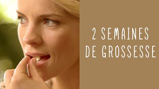 2 semaines de grossesse [upl. by Nahgen]