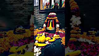 Lingashtakam  Lord Shiva Songs  Brahma Murari Surarchita Lingam  🕉🥰🙏 [upl. by Necyla617]