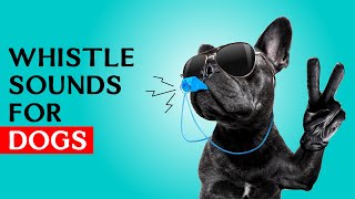 Whistle sounds for Dogs  Dog Whistle Sound to Call Your Dog [upl. by Sirronal]