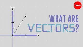 What is a vector  David Huynh [upl. by Domel942]