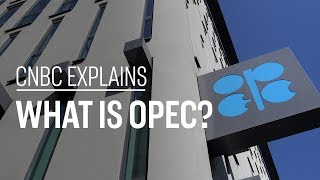 What is OPEC  CNBC Explains [upl. by Llenrahs360]