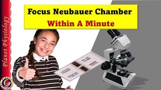 Focus Neubauer Chamber Within a Minute [upl. by Aikahc]