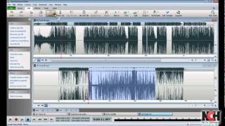 WavePad Audio Editing Software  Intro to Editing [upl. by Hsaniva]