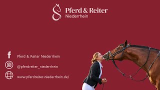 Aftermovie Pferd amp Reiter Niederrhein 2023 [upl. by Hartmunn]