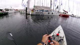 Kayak Fishing Hobart Docks amongst the SydneyHobart fleet [upl. by Nicram]