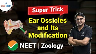 Tricks to learn Ear Ossicles amp Modification 🔥 Human Ear  Zoology  NEET 2021 ATP STAR [upl. by O'Conner]