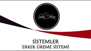 ARŞİV 21 Erkek Üreme Sistemi  İnsanda Embriyonik Gelişim  11 Sınıf Biyoloji AYT 21 [upl. by Guthrie]