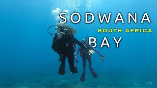 Recruit and Explore Dive Deep into Sodwana Bays Marine Wonderland Ep 4 of Matches on the Map [upl. by Patterson831]