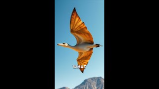 The Amazing World of Pterosaurs [upl. by Olram497]