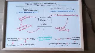 Domein C Terugkoppelingsmechanismen bij klimaatverandering [upl. by Annaul]