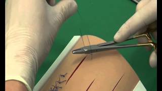 CSL Cruciate suture pattern [upl. by Carree254]