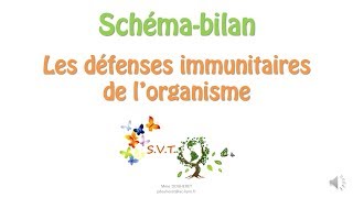 Les réactions de défense immunitaire de lorganisme [upl. by Elleined]