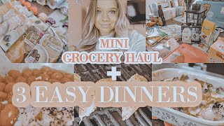 EASY DINNER IDEAS  Target Grocery Haul [upl. by Aicelaf]