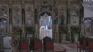 Episcopia GrecoCatolică de Oradea Live Stream [upl. by Jennie]