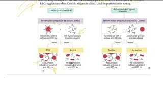 6 Coombs testing  Direct and Indirect Coombs Test  USMLE STEP 1 [upl. by Anaylil]