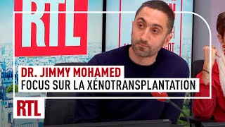 Focus sur la xénotransplantation lavenir de la médecine [upl. by Web795]