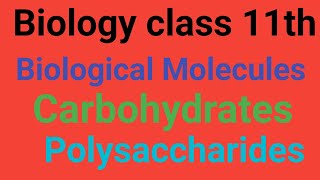 Polysaccharides Lecture 3 GlycogenStarch Cellulose Chitin and Iodine Test for polysaccharides [upl. by Tutt986]