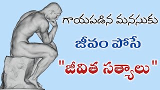 Telugu Motivational Inspirational Quotes Jivitha Satyalu Suktulu Manchi Matalu VIDDUS WORLD [upl. by Hylton183]