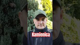 Kamienica Bruksela 🤣🤣🤣 [upl. by Sal589]