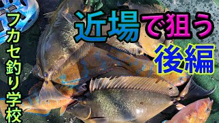 沖縄南部ポイントでフカセ釣り☆細仕掛けで狙う大型魚☆後編☆ [upl. by Lyrpa]