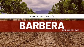 Grape Varieties  Barbera Intermediate Version ideal for WSET Level 2 Wine [upl. by Akirdnahs739]