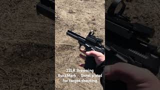 22LR Browning BuckMark [upl. by Alyekahs]