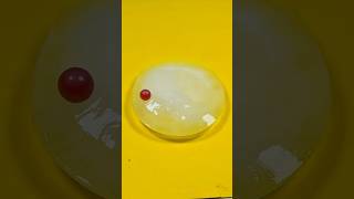 RHCB Vs Ice Plate Experiment satisfying shorts asmarsound asmarsatisfying ice icewater [upl. by Bondon]