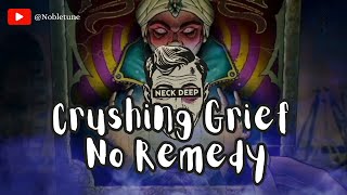 Neck Deep  Crushing Grief No Remedy acoustic vers with a line in a song [upl. by Anaeerb]