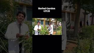 College Herbal Garden 🪴patna doctorsdream neet mbbs bums bams gtcians gtch herbal garden [upl. by Aremahs]