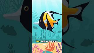 Ikan Moorish Idol 🐠 faktaunik faktaunikhewan ikan fish sea aquarium hewan faktahewan facts [upl. by Aitnwahs]