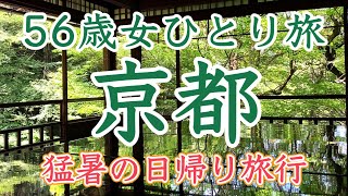 【50代京都日帰り旅行Vlog】涼を求めて巡る瑠璃光院・三千院・宝泉院🏮京都グルメ京都ランチ京都スイーツおひとり様 [upl. by Pfister486]