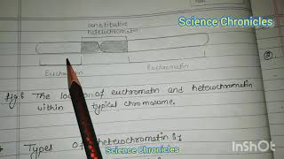 Euchromatin and heterochromatin hpu msc botany [upl. by Eleaffar954]