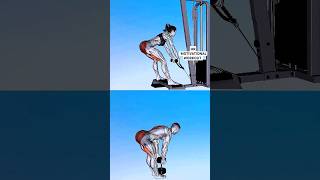 Hamstring exercises workout excercise hamstrings [upl. by Nehtan616]