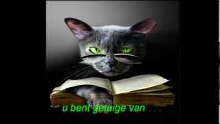 Helderziende poes [upl. by Londoner718]