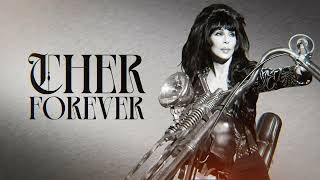 Cher  Dark Lady Official Audio [upl. by Eadith]