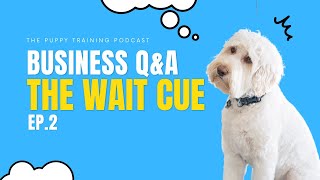 Business QampA and The Wait Cue  Podcast Ep 2 [upl. by Naitsirc]