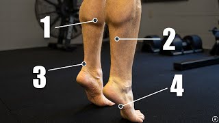 Chronic Ankle Instability  Recurrent Lateral Sprains Strength  Plyometrics  Balance Exercises [upl. by Pol]