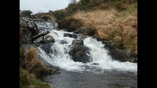 Grimpen Mire Dartmoor [upl. by Emiaj]