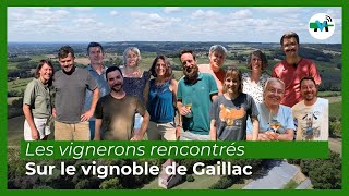 Les vignerons rencontrés à Gaillac [upl. by Domash]