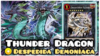 THUNDER DRAGON DECK 2024 YUGIOH DUEL LINKS [upl. by Airb]